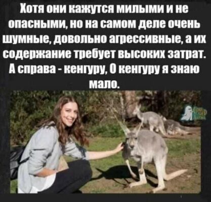 FB_IMG_1773983718603