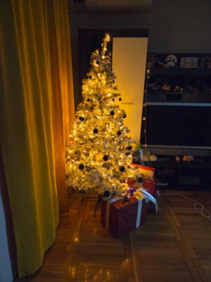 IMG-20251215-WA0000